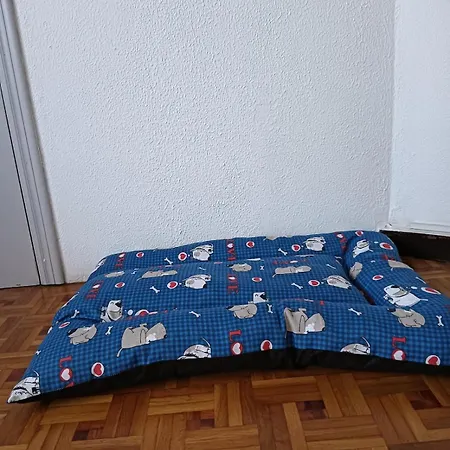 21 * Gijón